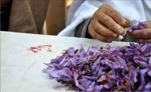 best brand of saffron