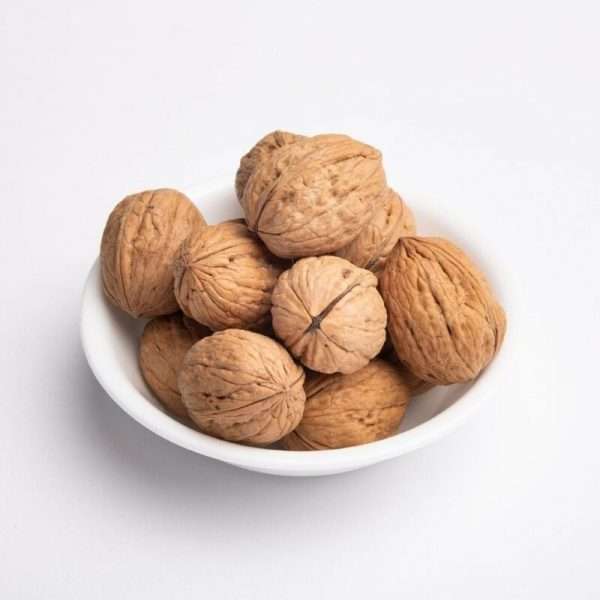 kashmiri walnut in shell