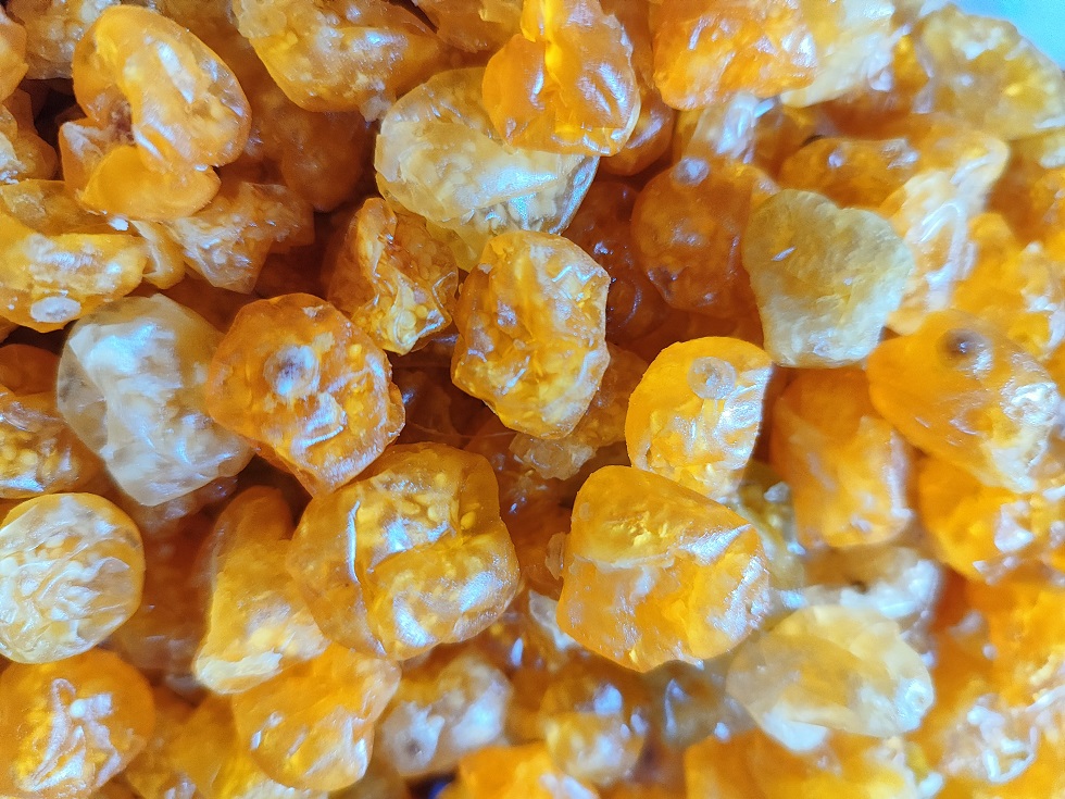 Dried Golden berries - Premium Quality Golden berries - Buy Dried Goldenberry Online - Image 2